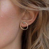 Classic Beech Stud Earrings