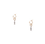 Fishy Hoop Earrings